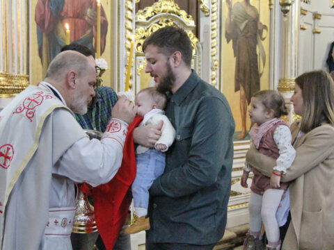 IMG_1841D_resize_resize