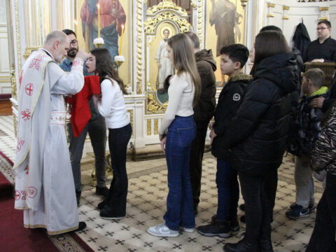 IMG_1851_resize_resize