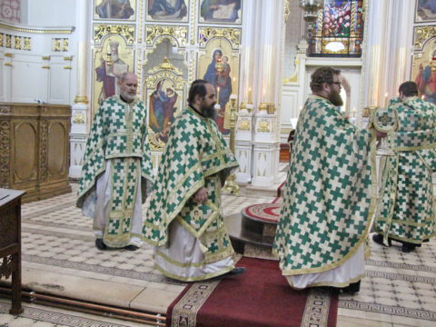 IMG_1896_resize_resize