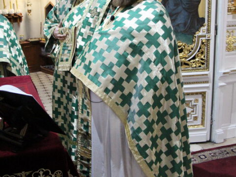 IMG_1900_resize_resize