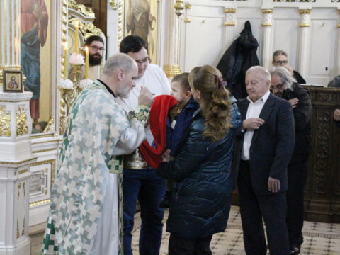 IMG_1903_resize_resize