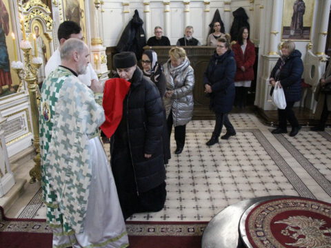 IMG_1911_resize_resize