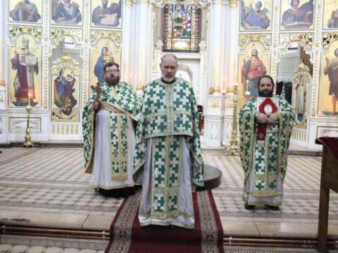 IMG_1913_resize_resize