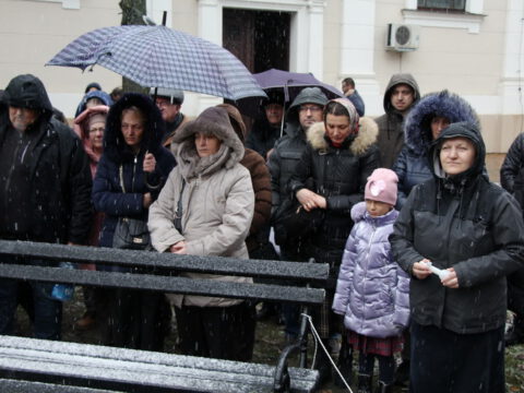 IMG_1921_resize_resize