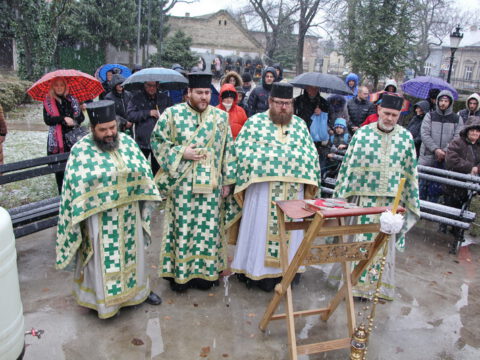 IMG_1928_resize_resize