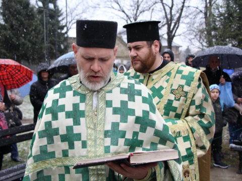 IMG_1953_resize_resize