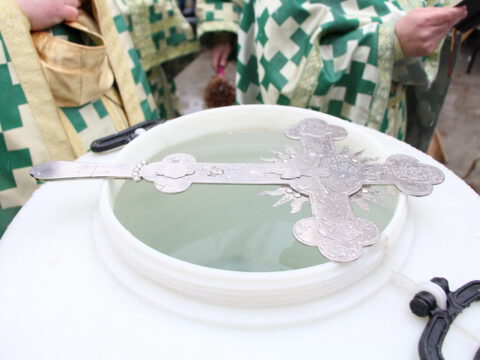 IMG_1954_resize_resize