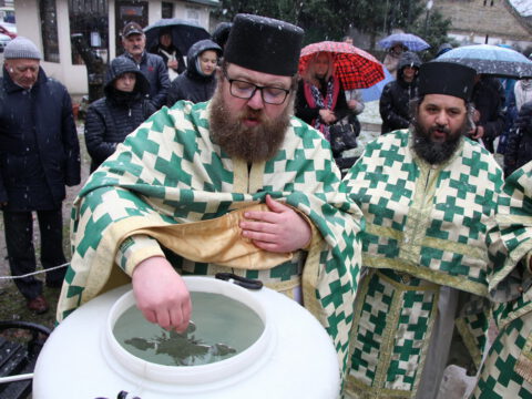 IMG_1961_resize_resize