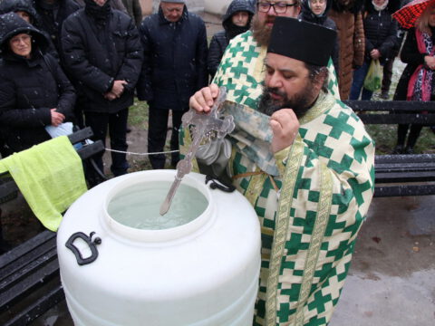 IMG_1964_resize_resize