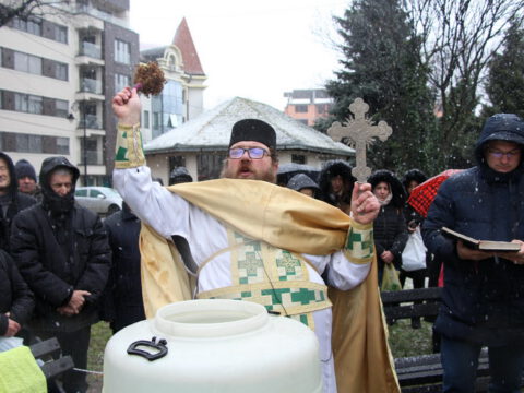 IMG_1974_resize_resize