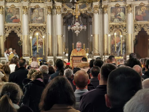 IMG_20240107_094808_resize