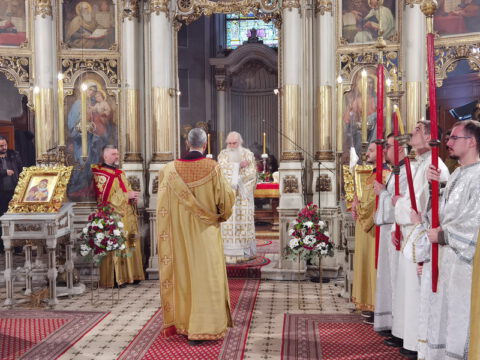 IMG_20240107_102322_resize