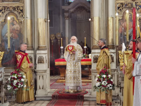 IMG_20240107_102333_resize