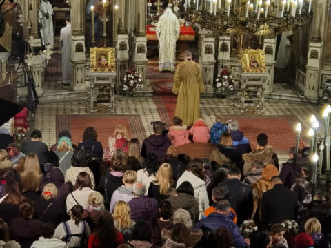 IMG_20240107_110411_resize