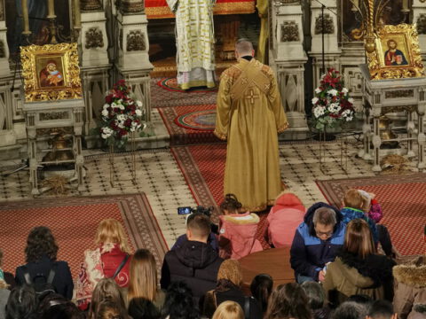 IMG_20240107_110429_resize