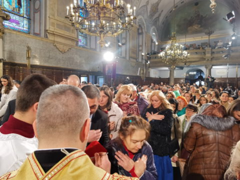 IMG_20240107_112514_resize