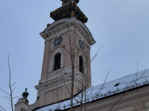 IMG_20240109_082912_resize