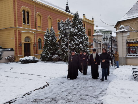 IMG_20240109_091021_resize