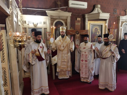 IMG_20240114_082754_resize