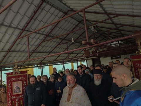 IMG_20240119_084511_resize