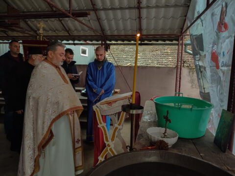 IMG_20240119_084600_resize