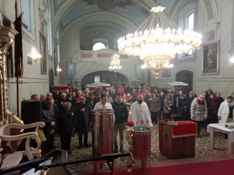 IMG_20240119_101947_resize