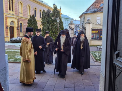 IMG_20240120_084419_resize