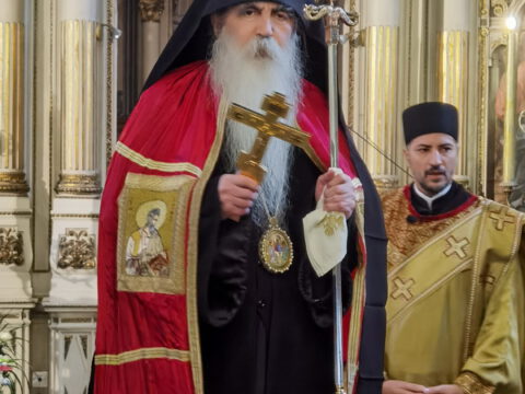 IMG_20240120_084919_resize