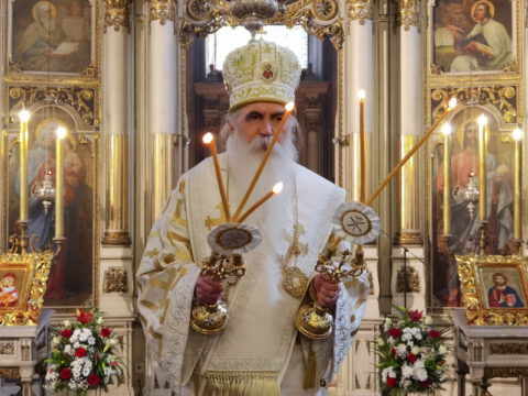 IMG_20240120_090427_resize