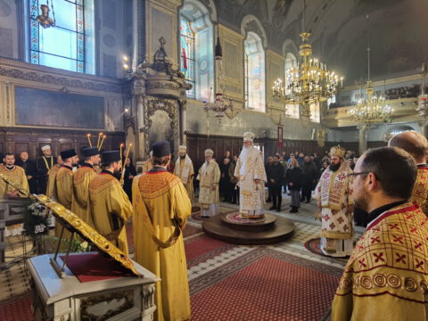 IMG_20240120_090557_resize