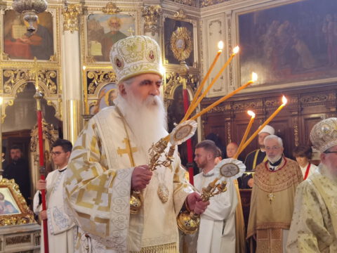 IMG_20240120_092025_resize