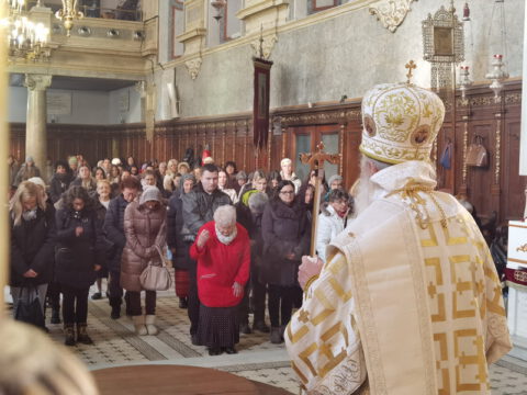 IMG_20240120_092346_resize