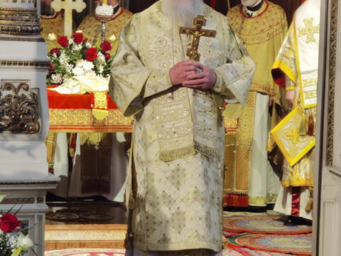 IMG_20240120_092933_resize