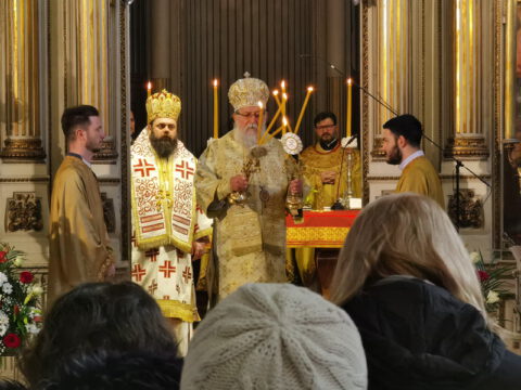 IMG_20240120_093633_resize