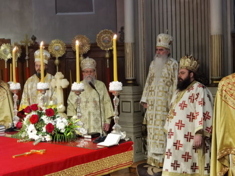 IMG_20240120_094501_resize