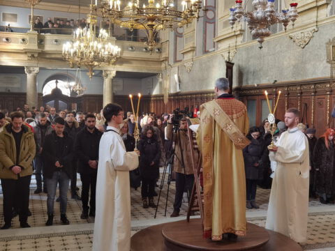 IMG_20240120_094549_resize