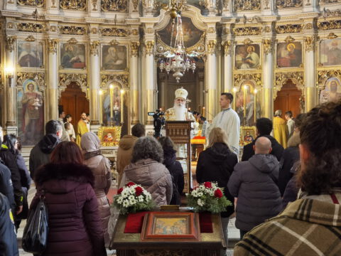 IMG_20240120_095144_resize