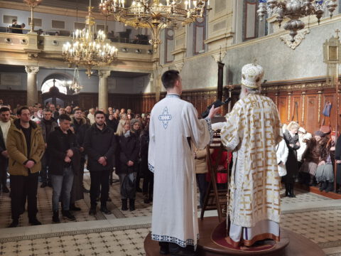 IMG_20240120_095726_resize