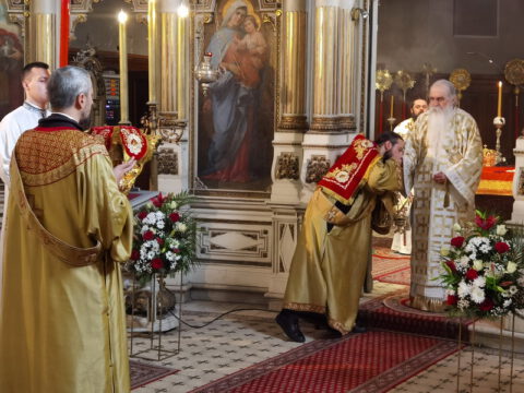 IMG_20240120_102556_resize