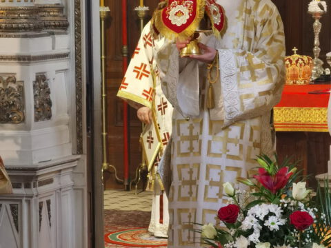 IMG_20240120_102618_resize