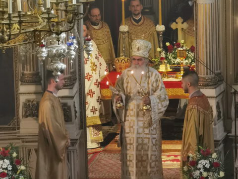 IMG_20240120_103625_resize