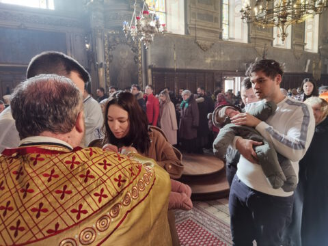 IMG_20240120_111230_resize