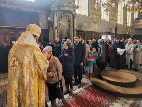 IMG_20240120_111259_resize