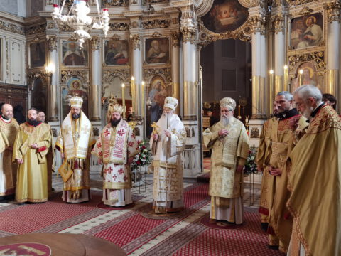 IMG_20240120_112408_resize