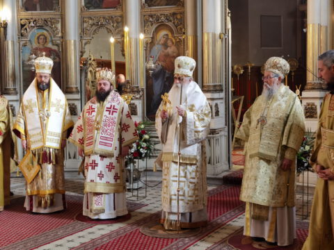 IMG_20240120_112413_resize