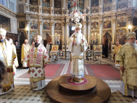 IMG_20240120_112539_resize