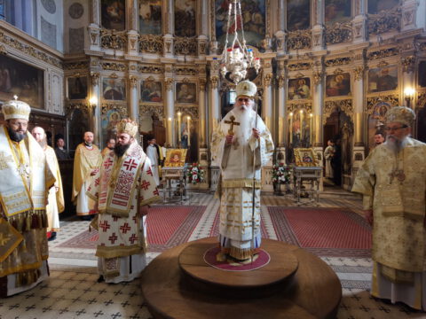 IMG_20240120_112545_resize