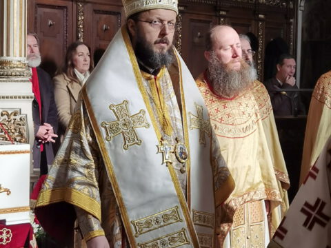 IMG_20240120_112635_resize