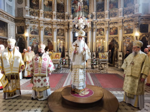 IMG_20240120_112741_resize