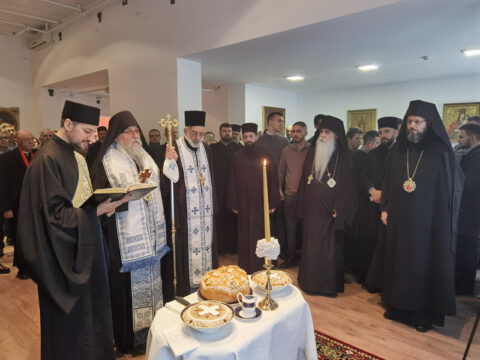 IMG_20240120_120245_resize